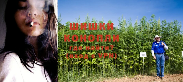ешки Майский